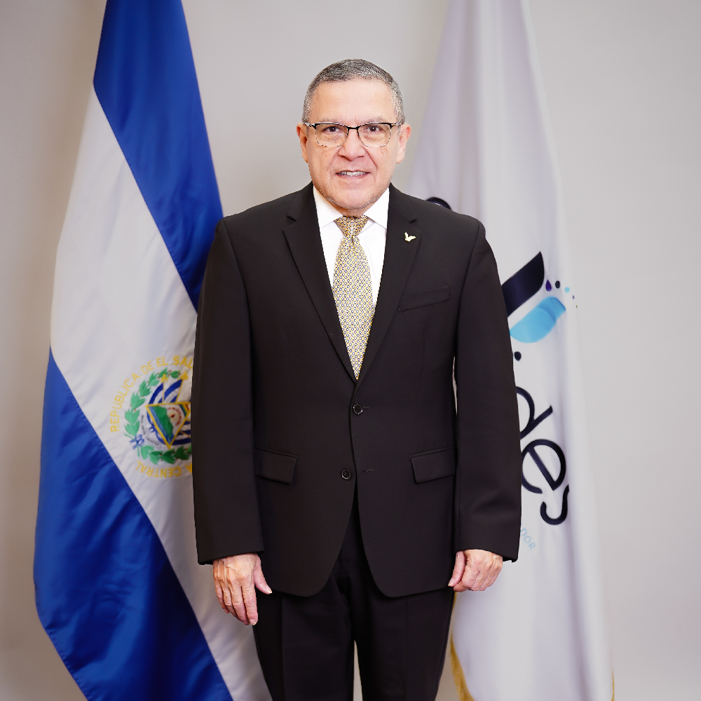 Rector 14